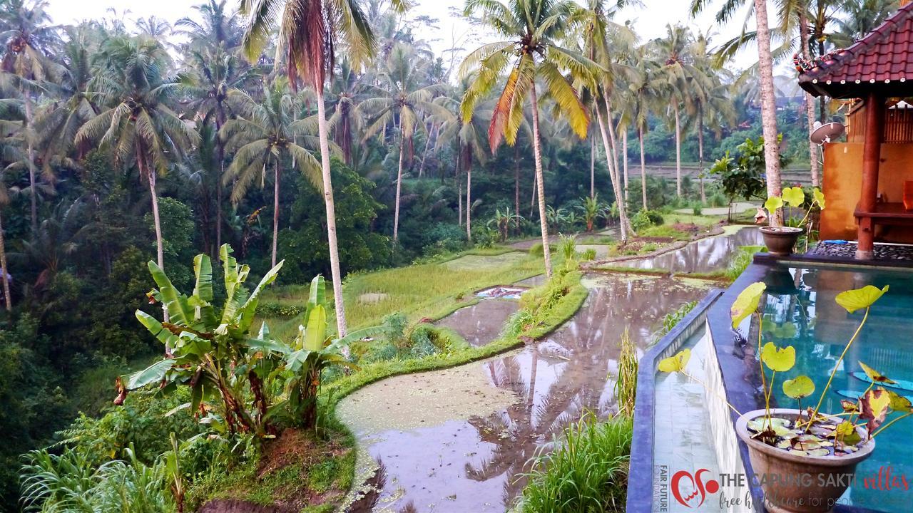 Capung Sakti Villas Ubud  Luaran gambar