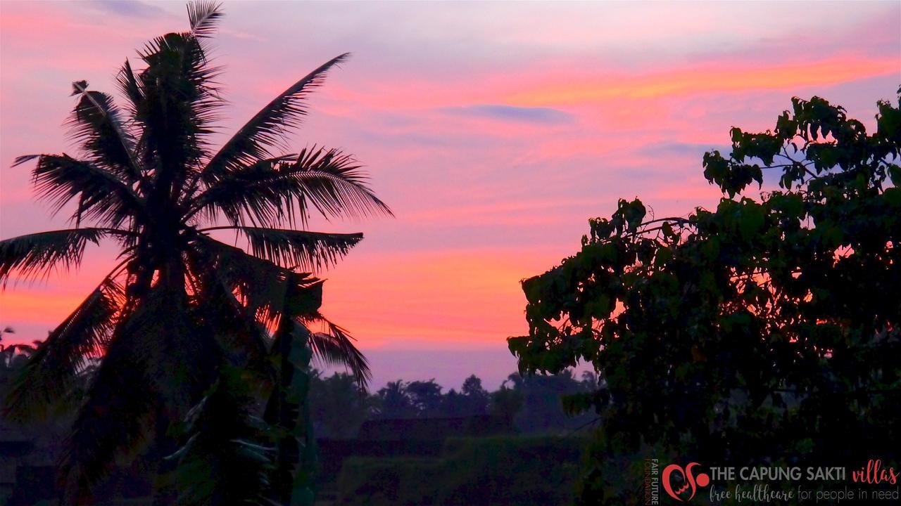 Capung Sakti Villas Ubud  Luaran gambar