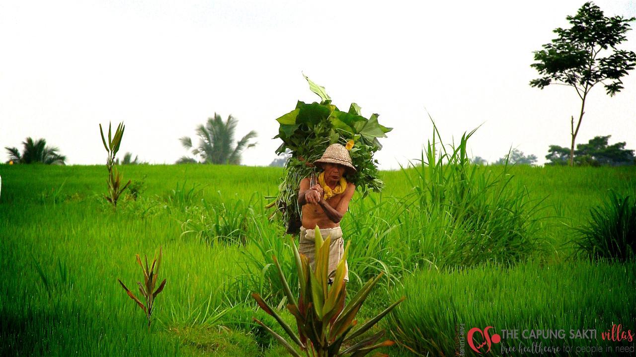 Capung Sakti Villas Ubud  Luaran gambar