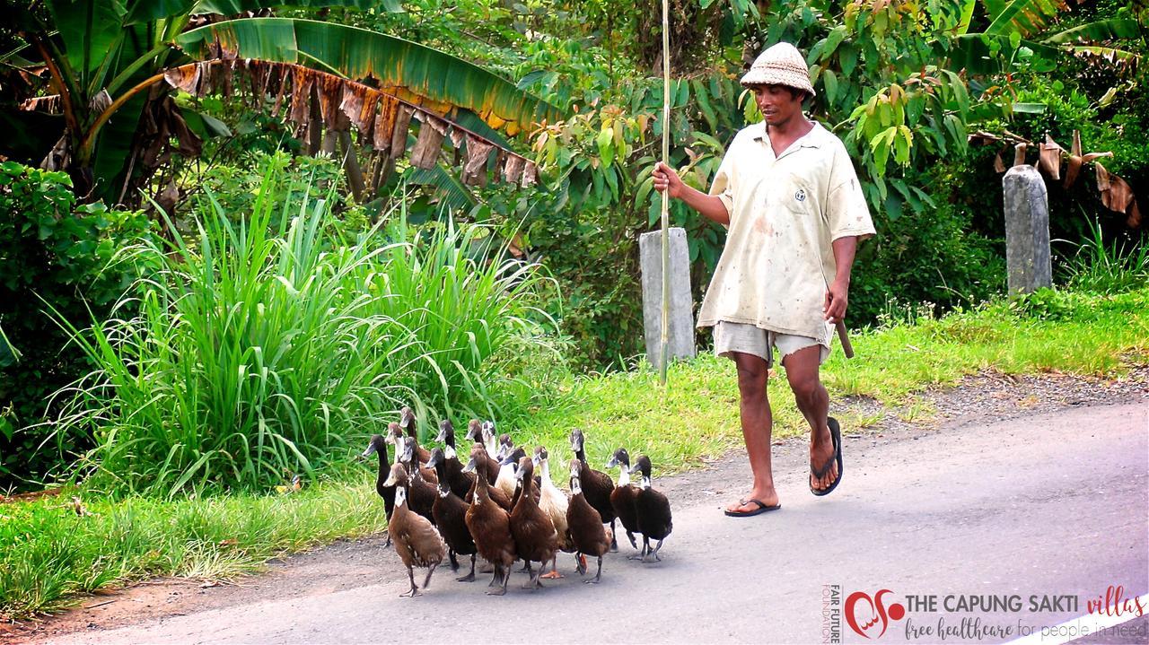 Capung Sakti Villas Ubud  Luaran gambar