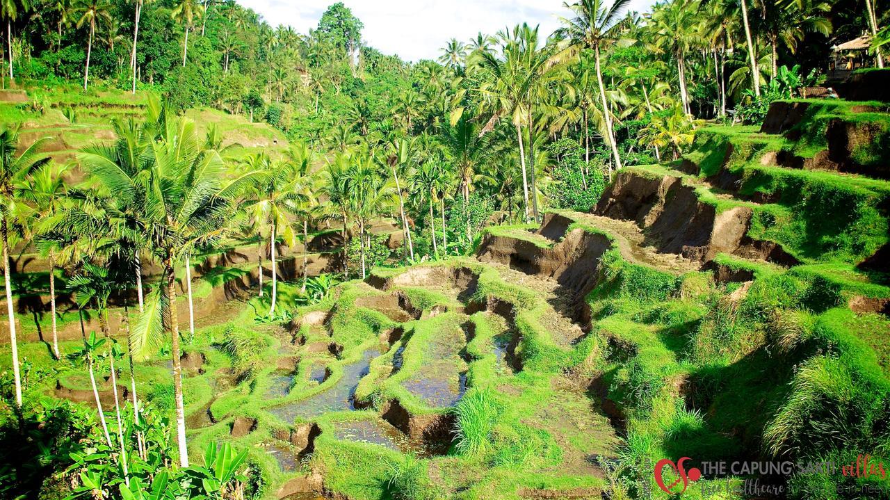 Capung Sakti Villas Ubud  Luaran gambar